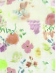 大牌花