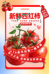 西红柿