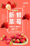 草莓