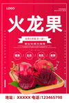 火龙果