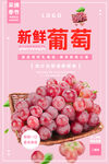 葡萄