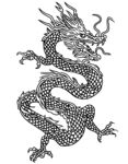 龙线稿