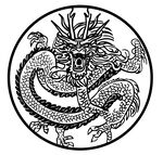 龙图案