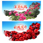 玫瑰