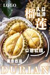 榴莲海报 