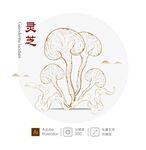 灵芝插画