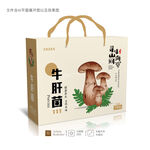 牛肝菌 包装