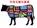 牛肉分解图