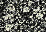 黑白花