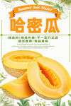 哈密瓜