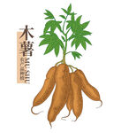 木薯粉产品包装设计
