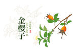 金樱子