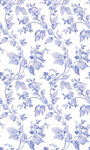 蓝色紫藤花