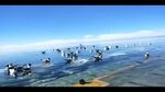 甘肃青海飞鸟