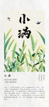 小满