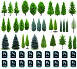 高清常绿树木PSD素材