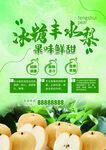 秋梨 大头梨 