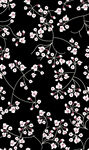外单花