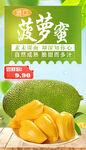 菠萝蜜图片