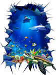 海底世界立体画