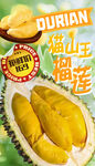 榴莲