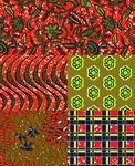 民族风