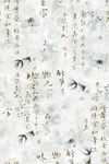 金鱼