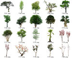 免扣高清景观树常用乔木贴图素材