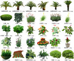 高清树木花卉绿植免抠贴图素材 