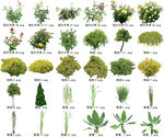 高清树木花卉绿植免抠贴图素材 