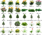 高清树木花卉绿植免抠贴图素材 
