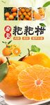 粑粑柑