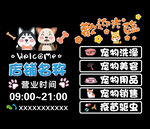 宠物店玻璃贴纸