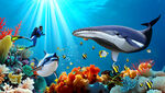 海底世界鲨鱼