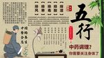 五行养生背景墙