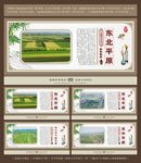 中国四大平原