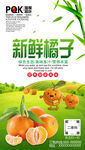 橘子海报