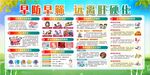 2024年爱肝日板报健康宣传栏