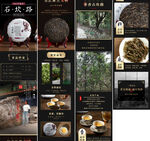 普洱茶详情