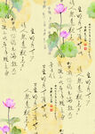 荷叶 汉字