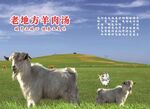 羊肉汤灯箱