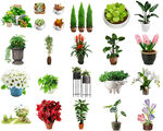 psd免抠盆栽植物