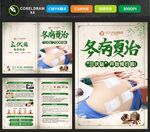 冬病夏治折页