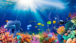 海底世界