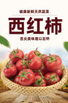 西红柿