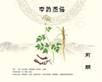 前胡