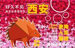 网红打卡墙