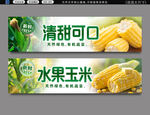 玉米