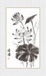 国画荷花