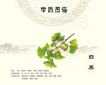 白果